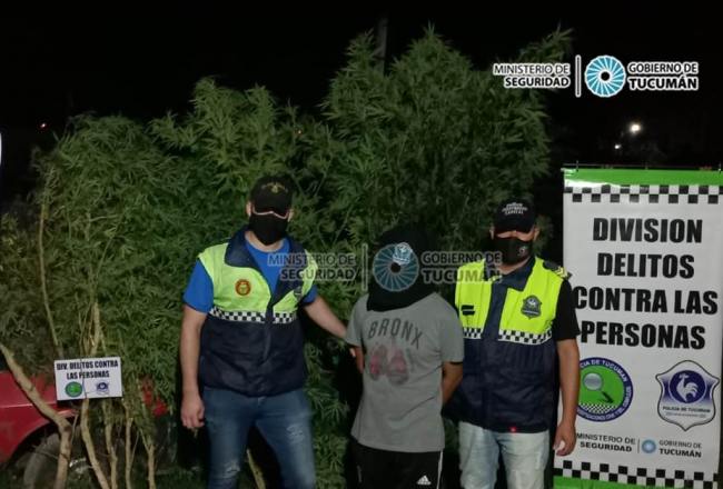 Secuestran Armas Un Veh Culo Y Marihuana En Diversos Allanamientos