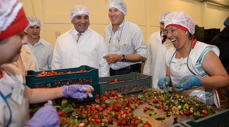 Resultado de imagen para economias regionales limon manzur