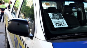 vides 3