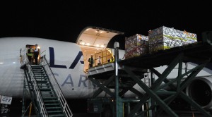 avion exportacion de arandano