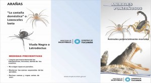 ALACRANES