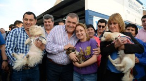 jaldo_Centro_de_asistencia_animal_y_pavimento_articulado (10)