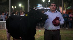 manzur_expo_lactea-nn-6