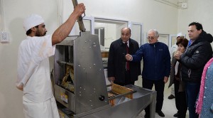 Manzur-Apicola-LS-8