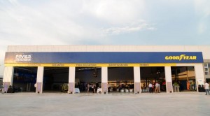 truck-pevisa-manzur5