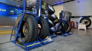 truck-pevisa-manzur6