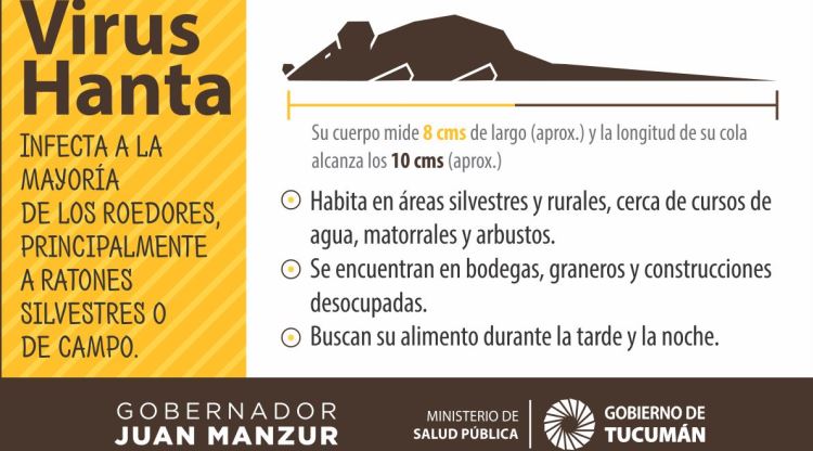 Tucumán no registra casos de hantavirus