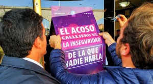 acoso callejero secretaria de la mujer1