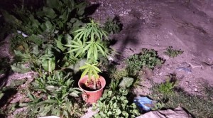 allanmientosaguilares3