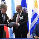 manzur zicosur oea 15