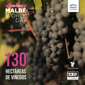 D&iacute;a Mundial del Malbec: el IDEP homenajea al vino argentino