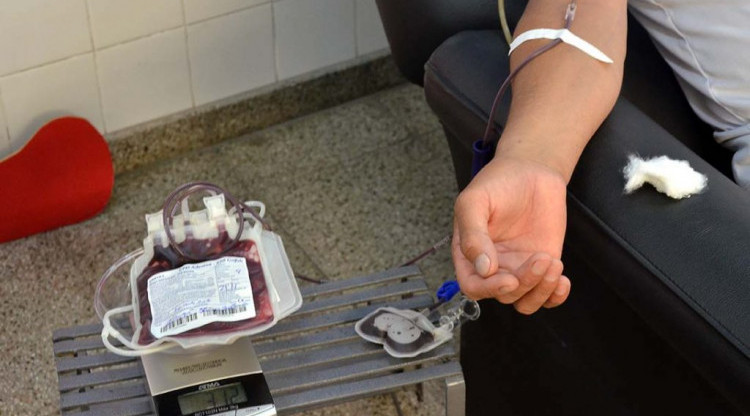 Voluntarios donaron sangre en el Concejo Deliberante de Capital