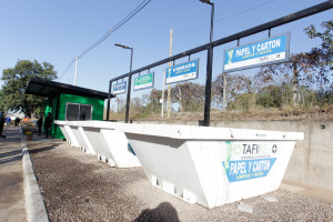 Manzur en Punto verde en Tafí Viejo-1