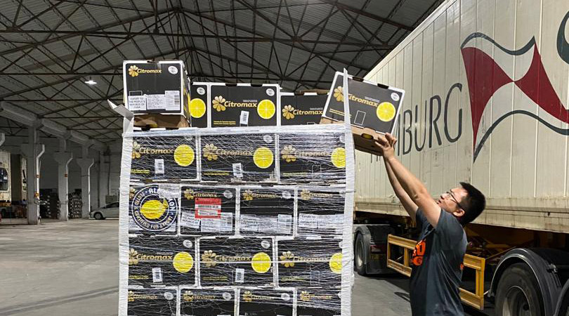 Con la llegada del limón tucumano a China, se abren nuevos horizontes