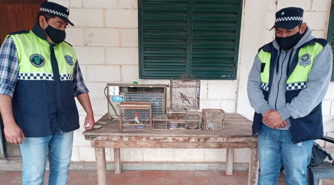 Liberan aves autóctonas que permanecían cautivas en Tapia Liberan aves autóctonas que permanecían cautivas en Tapia