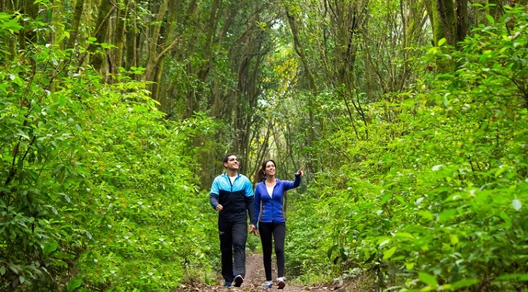 Refuerzan lazos para revalorizar el Parque Sierra San Javier