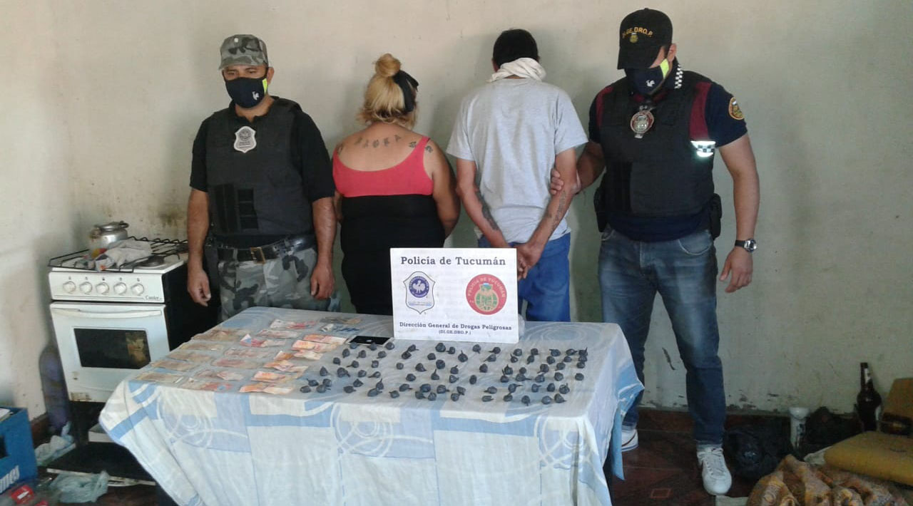 Secuestran gallos de riña y más de 70 bagullos de marihuana