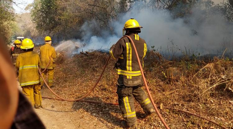 Cuidado y prevención de incendios forestales, ejes de un taller