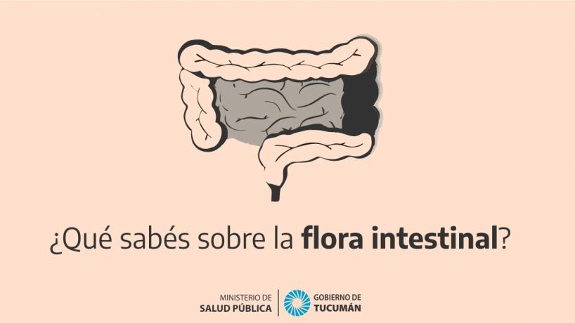 Flora Intestinal: Qué Es Y Cuál Es Su Importancia En La Salud ...