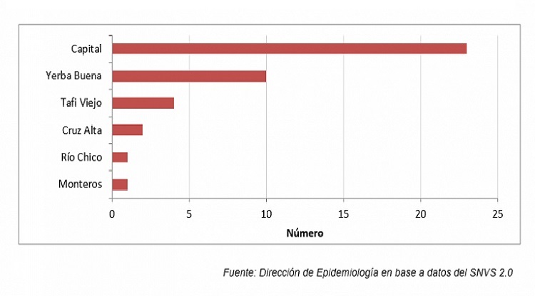 covid grafico