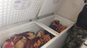 abigeato secuestro 400 kilos carne faenada (2)