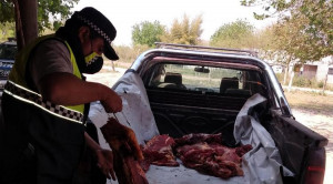 abigeato secuestro 400 kilos carne faenada (5)